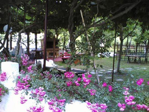 Helena Apartments Paralia Panteleimonos Dış mekan fotoğraf