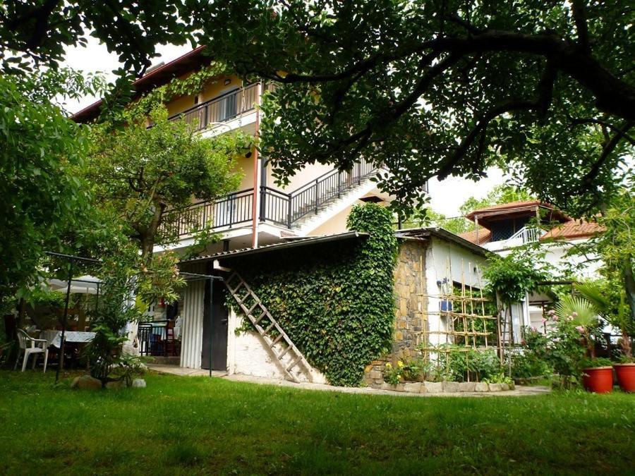 Helena Apartments Paralia Panteleimonos Dış mekan fotoğraf